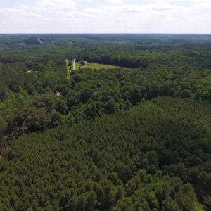 Photo of SOLD!  62.5 Acres of Hunting and Timber Land for Sale in Nash County NC!