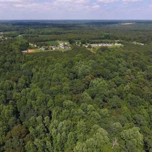 Photo of SOLD!  62.5 Acres of Hunting and Timber Land for Sale in Nash County NC!