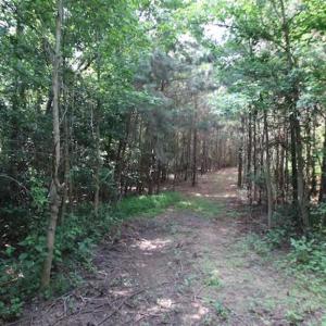 Photo of SOLD!  62.5 Acres of Hunting and Timber Land for Sale in Nash County NC!