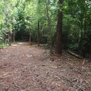 Photo of SOLD!  62.5 Acres of Hunting and Timber Land for Sale in Nash County NC!