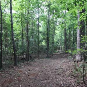 Photo of SOLD!  62.5 Acres of Hunting and Timber Land for Sale in Nash County NC!
