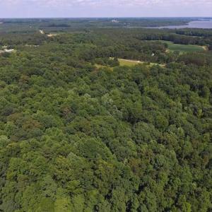 Photo of SOLD!  62.5 Acres of Hunting and Timber Land for Sale in Nash County NC!