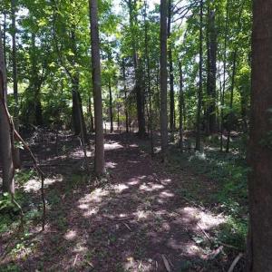Photo of SOLD!  62.5 Acres of Hunting and Timber Land for Sale in Nash County NC!