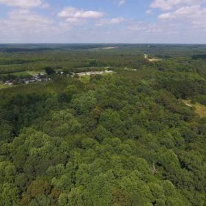 Photo of SOLD!  62.5 Acres of Hunting and Timber Land for Sale in Nash County NC!