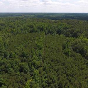 Photo of SOLD!  62.5 Acres of Hunting and Timber Land for Sale in Nash County NC!