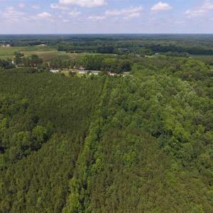 Photo of SOLD!  62.5 Acres of Hunting and Timber Land for Sale in Nash County NC!