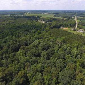 Photo of SOLD!  62.5 Acres of Hunting and Timber Land for Sale in Nash County NC!