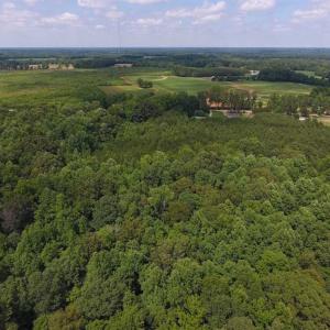 Photo of SOLD!  62.5 Acres of Hunting and Timber Land for Sale in Nash County NC!