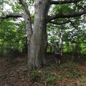 Photo of SOLD!  62.5 Acres of Hunting and Timber Land for Sale in Nash County NC!