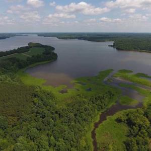 Photo of SOLD!  62.5 Acres of Hunting and Timber Land for Sale in Nash County NC!