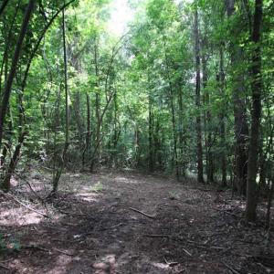 Photo of SOLD!  62.5 Acres of Hunting and Timber Land for Sale in Nash County NC!