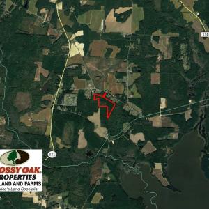 Photo of UNDER CONTRACT!  24.5 Acres of Hunting and Timber Land for Sale in Nash County NC!
