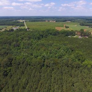 Photo of UNDER CONTRACT!  24.5 Acres of Hunting and Timber Land for Sale in Nash County NC!