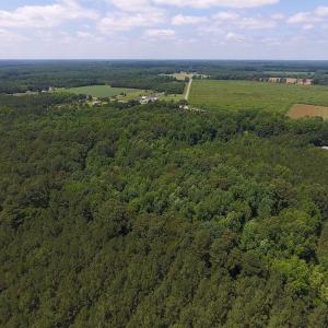 Photo of UNDER CONTRACT!  24.5 Acres of Hunting and Timber Land for Sale in Nash County NC!