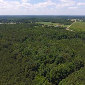 Photo of UNDER CONTRACT!  24.5 Acres of Hunting and Timber Land for Sale in Nash County NC!