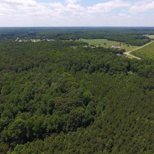 Photo of UNDER CONTRACT!  24.5 Acres of Hunting and Timber Land for Sale in Nash County NC!