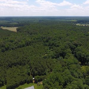Photo of UNDER CONTRACT!  24.5 Acres of Hunting and Timber Land for Sale in Nash County NC!