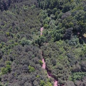 Photo of UNDER CONTRACT!  24.5 Acres of Hunting and Timber Land for Sale in Nash County NC!