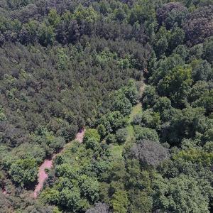 Photo of UNDER CONTRACT!  24.5 Acres of Hunting and Timber Land for Sale in Nash County NC!