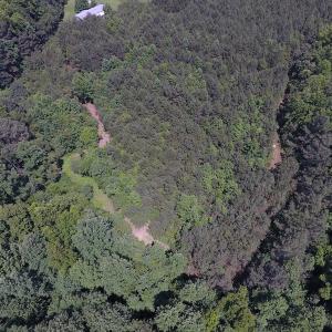 Photo of UNDER CONTRACT!  24.5 Acres of Hunting and Timber Land for Sale in Nash County NC!