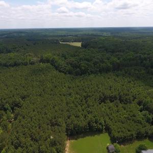 Photo of UNDER CONTRACT!  24.5 Acres of Hunting and Timber Land for Sale in Nash County NC!