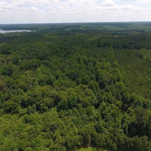 Photo of UNDER CONTRACT!  24.5 Acres of Hunting and Timber Land for Sale in Nash County NC!