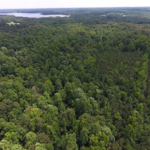 Photo of UNDER CONTRACT!  24.5 Acres of Hunting and Timber Land for Sale in Nash County NC!