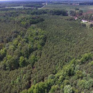 Photo of UNDER CONTRACT!  24.5 Acres of Hunting and Timber Land for Sale in Nash County NC!