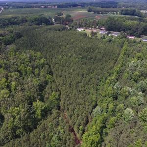 Photo of UNDER CONTRACT!  24.5 Acres of Hunting and Timber Land for Sale in Nash County NC!