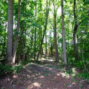 Photo of UNDER CONTRACT!  24.5 Acres of Hunting and Timber Land for Sale in Nash County NC!