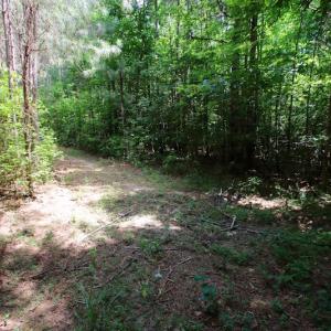 Photo of UNDER CONTRACT!  24.5 Acres of Hunting and Timber Land for Sale in Nash County NC!