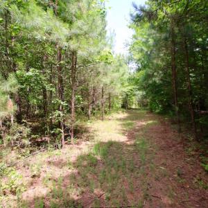 Photo of UNDER CONTRACT!  24.5 Acres of Hunting and Timber Land for Sale in Nash County NC!