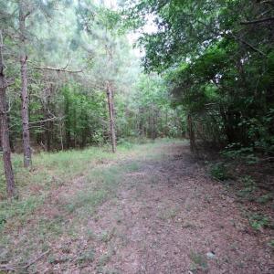 Photo of UNDER CONTRACT!  24.5 Acres of Hunting and Timber Land for Sale in Nash County NC!