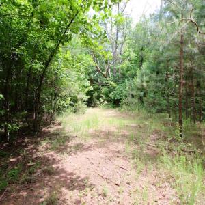Photo of UNDER CONTRACT!  24.5 Acres of Hunting and Timber Land for Sale in Nash County NC!