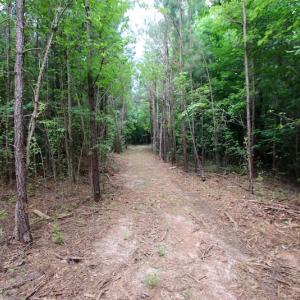 Photo of UNDER CONTRACT!  24.5 Acres of Hunting and Timber Land for Sale in Nash County NC!