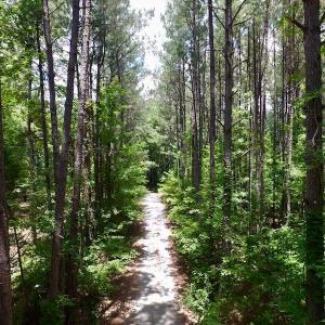 Photo of SOLD!  6.45 Acres of Investment Residential Land For Sale in Orange County NC!