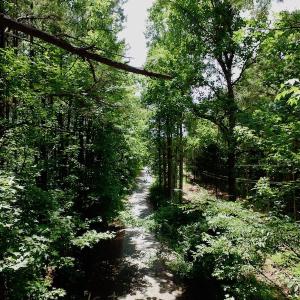 Photo of SOLD!  6.45 Acres of Investment Residential Land For Sale in Orange County NC!