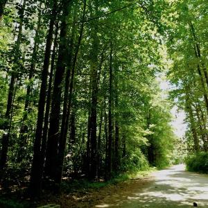 Photo of SOLD!  6.45 Acres of Investment Residential Land For Sale in Orange County NC!