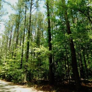 Photo of SOLD!  6.45 Acres of Investment Residential Land For Sale in Orange County NC!