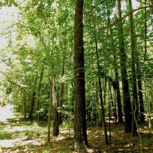 Photo of SOLD!  6.45 Acres of Investment Residential Land For Sale in Orange County NC!
