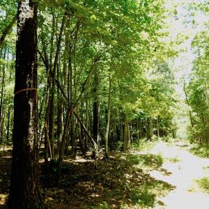 Photo of SOLD!  6.45 Acres of Investment Residential Land For Sale in Orange County NC!