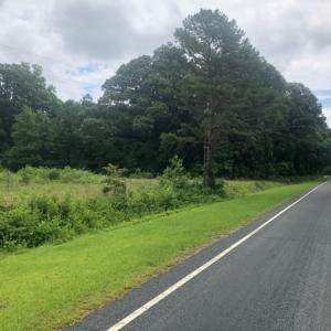 Photo of UNDER CONTRACT!  25 Acres of Land for Sale in Bladen County!