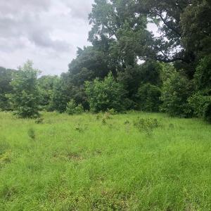 Photo of UNDER CONTRACT!  25 Acres of Land for Sale in Bladen County!