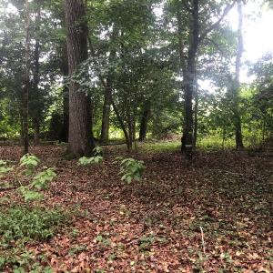 Photo of UNDER CONTRACT!  25 Acres of Land for Sale in Bladen County!