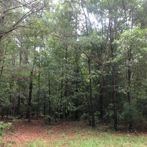 Photo of UNDER CONTRACT!  25 Acres of Land for Sale in Bladen County!