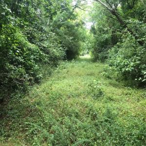 Photo of UNDER CONTRACT!  25 Acres of Land for Sale in Bladen County!