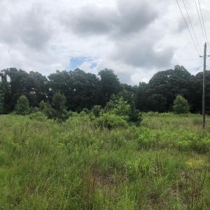 Photo of UNDER CONTRACT!  25 Acres of Land for Sale in Bladen County!