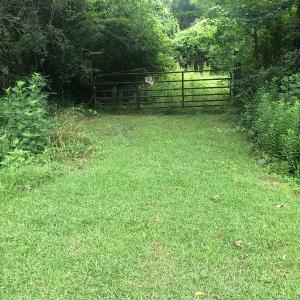 Photo of UNDER CONTRACT!  25 Acres of Land for Sale in Bladen County!