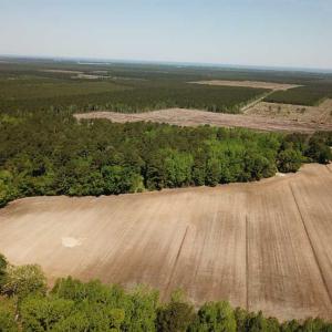 Photo of REDUCED!  83 Acres of Commercial Farm and Timber Land For Sale in Tyrrell County NC!