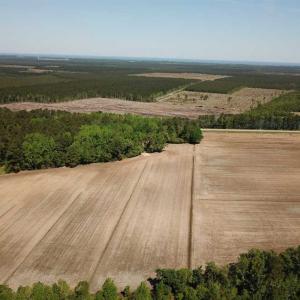 Photo of REDUCED!  83 Acres of Commercial Farm and Timber Land For Sale in Tyrrell County NC!
